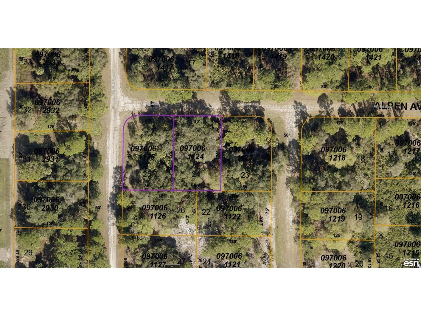 0970061124 & 0970061125 Alpen Avenue North Port FL 34291 A4575351 image1