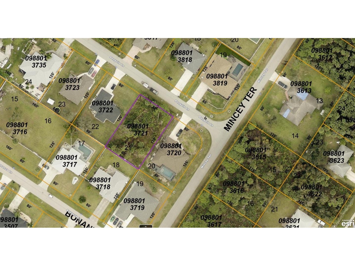 0988013721 Penguin Lane North Port FL 34286 A4619244 image1