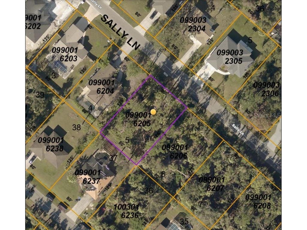 0990016205 Sally Lane North Port FL 34286 C7481537 image1