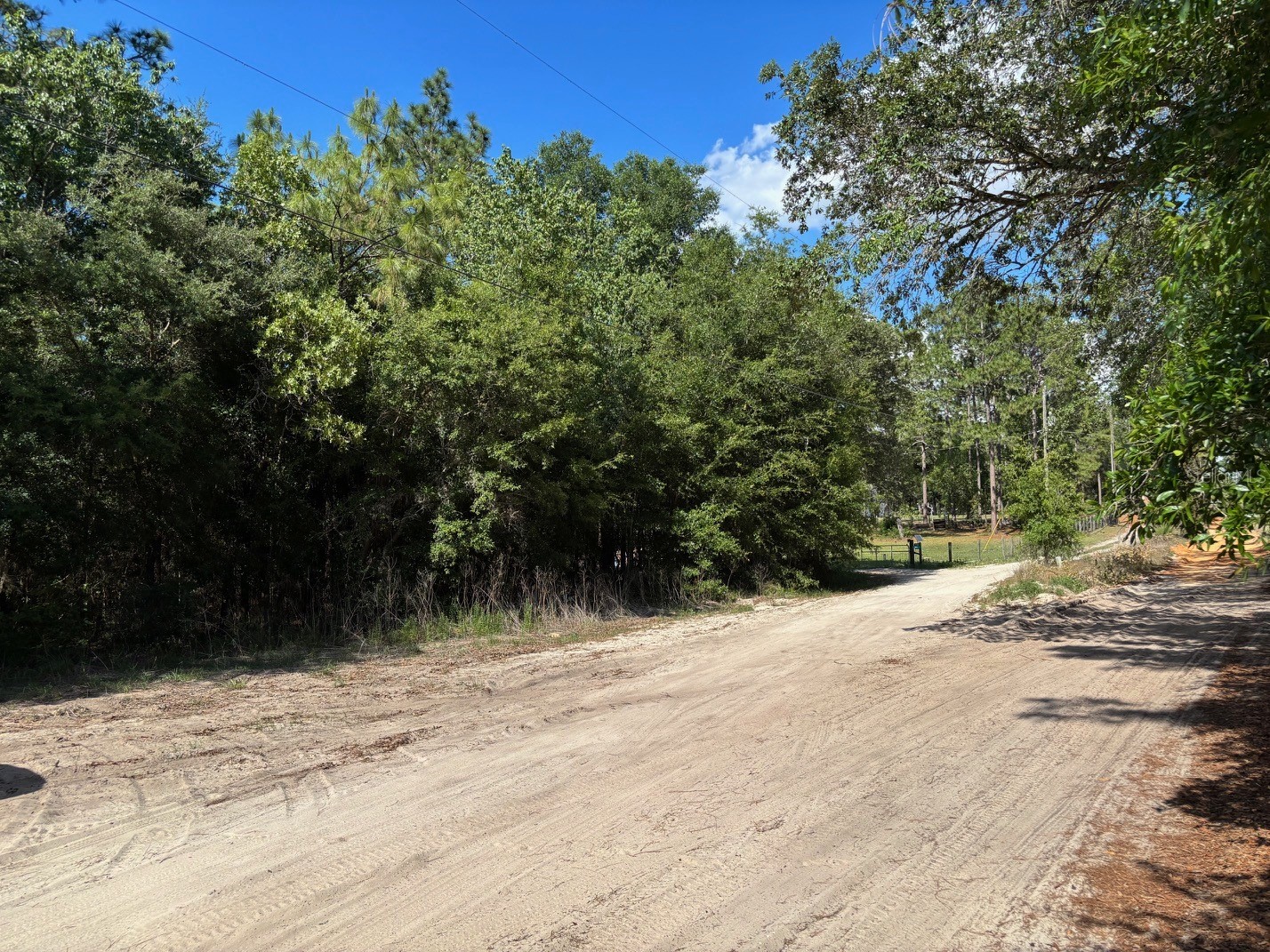 0B Sw 93rd Place Dunnellon FL 34432 L4962257 image1