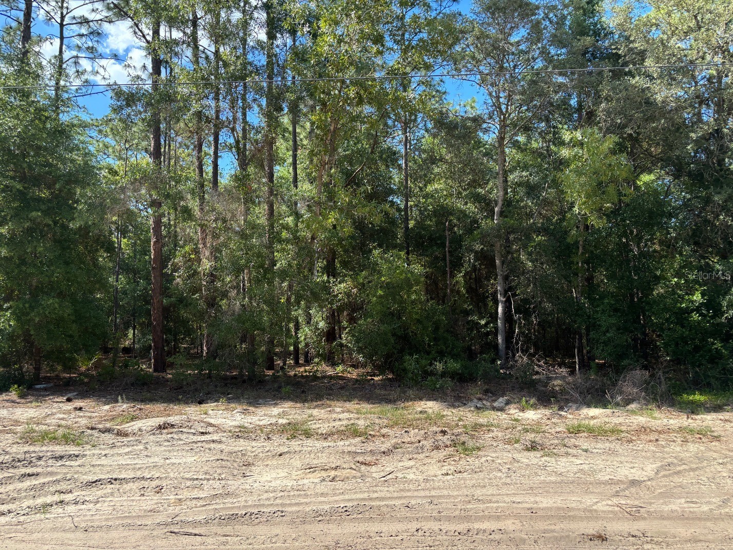 0B Sw 93rd Place Dunnellon FL 34432 L4962257 image2