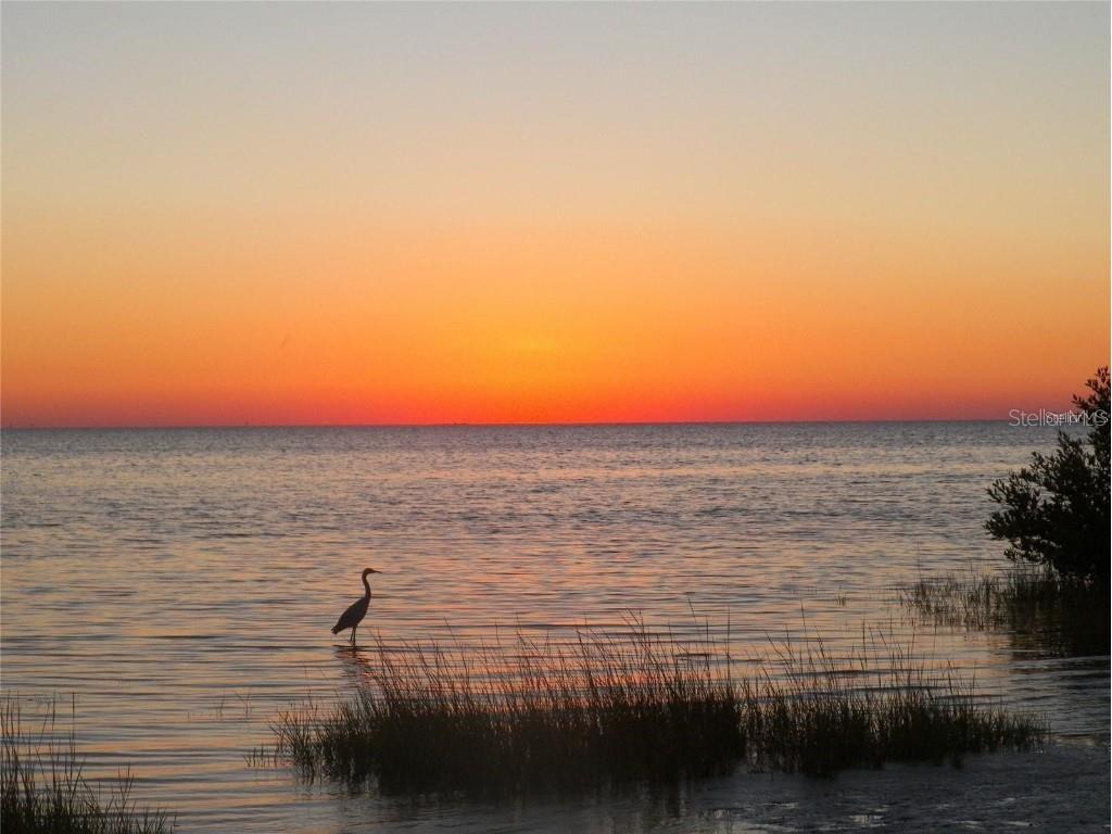 1-2 Green Key New Port Richey FL 34652 TB8432267 image15