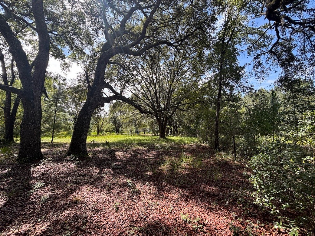 1 4057-0797 Fort Mc Coy FL 32134 TB8407342 image1