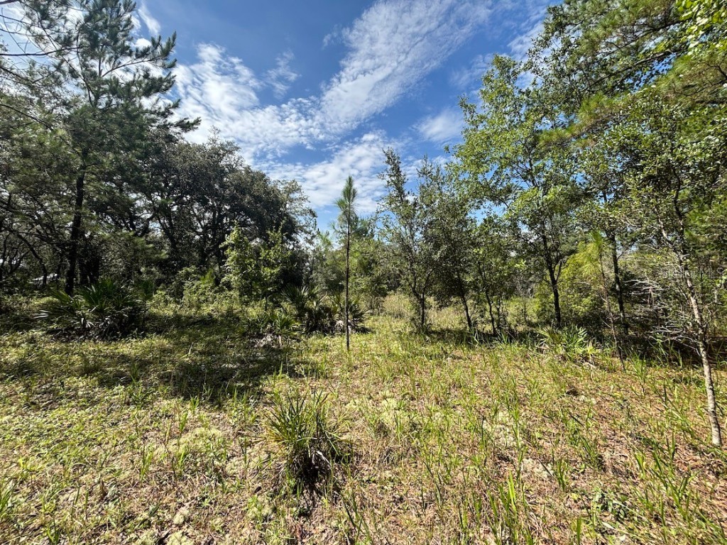 1 4057-0797 Fort Mc Coy FL 32134 TB8407342 image2