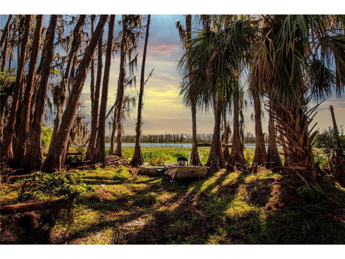 1 Alderman Turner Road Wimauma FL 33598 - LAKE CARLTON TB8363557 image1