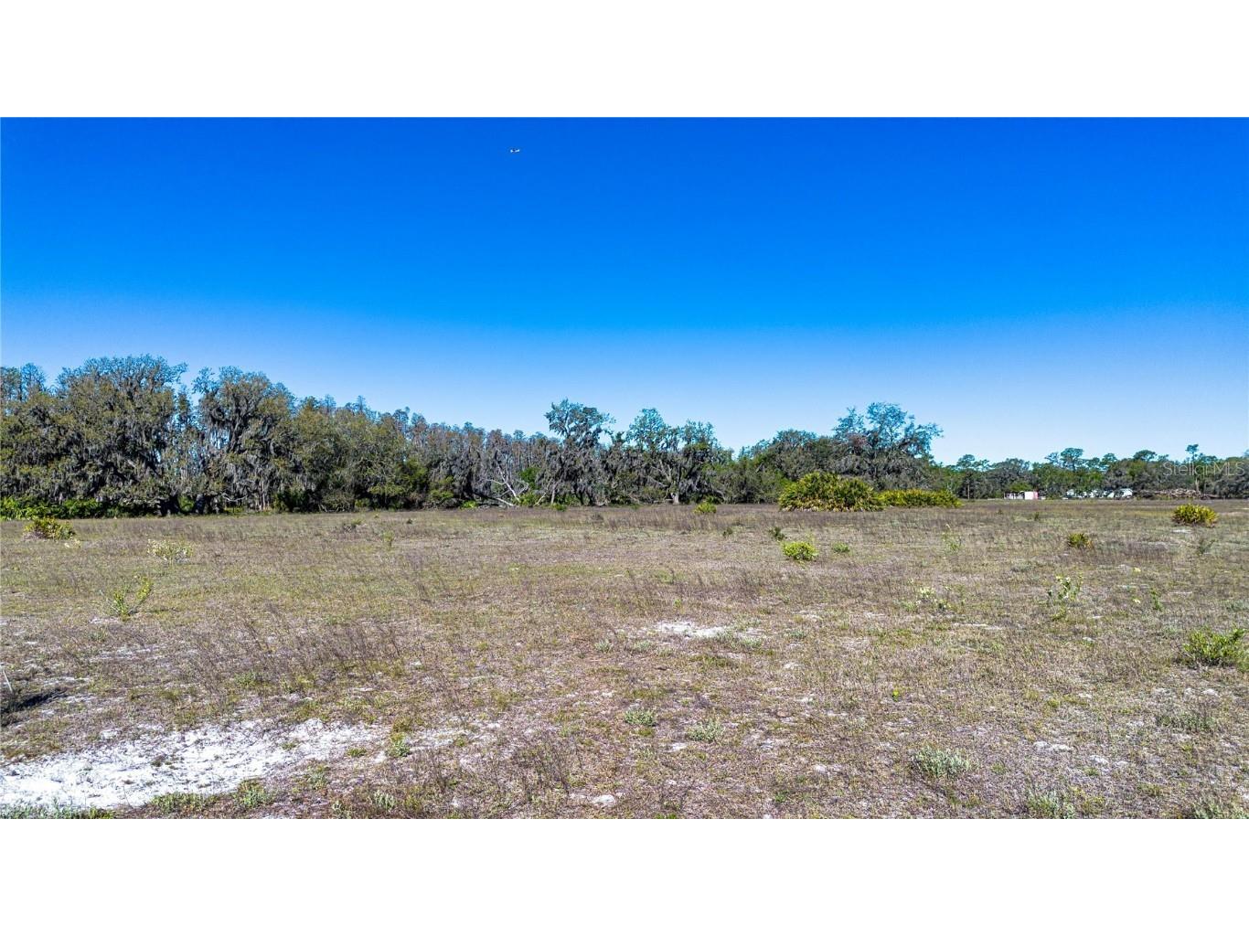 1 Alderman Turner Road Wimauma FL 33598 - LAKE CARLTON TB8363557 image11