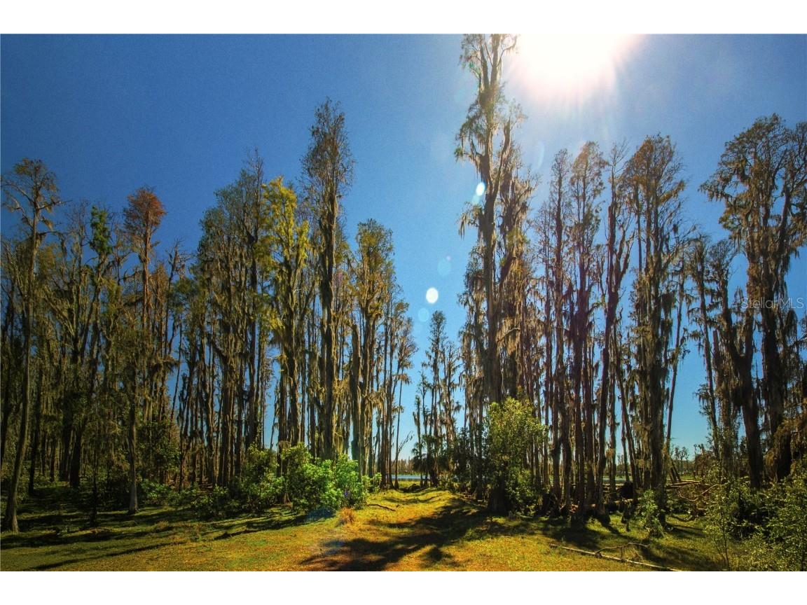 1 Alderman Turner Road Wimauma FL 33598 - LAKE CARLTON TB8363557 image13