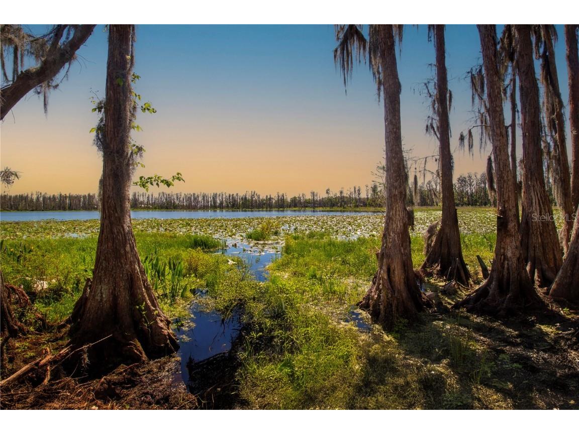 1 Alderman Turner Road Wimauma FL 33598 - LAKE CARLTON TB8363557 image15