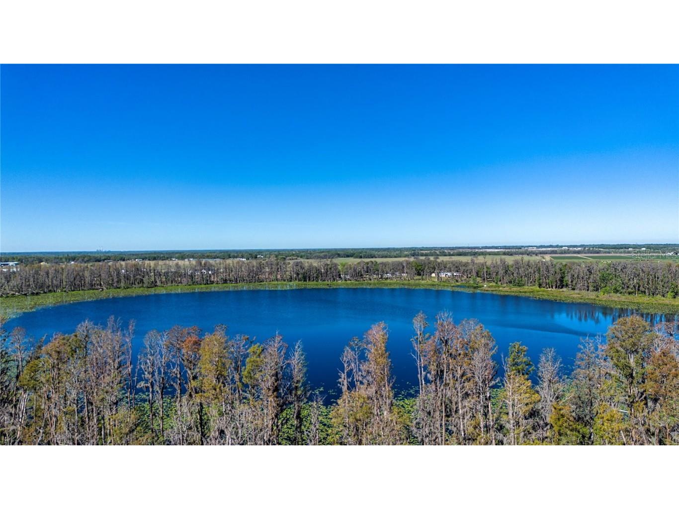 1 Alderman Turner Road Wimauma FL 33598 - LAKE CARLTON TB8363557 image17