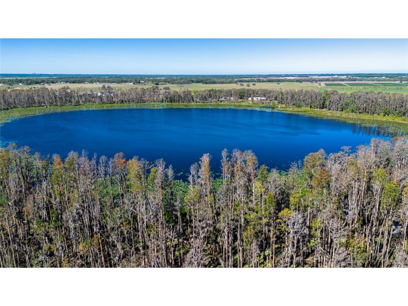 1 Alderman Turner Road Wimauma FL 33598 - LAKE CARLTON TB8363557 image2