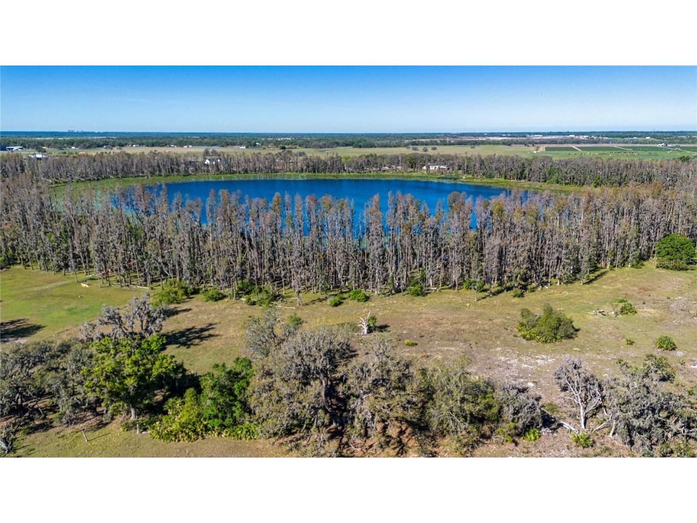 1 Alderman Turner Road Wimauma FL 33598 - LAKE CARLTON TB8363557 image4