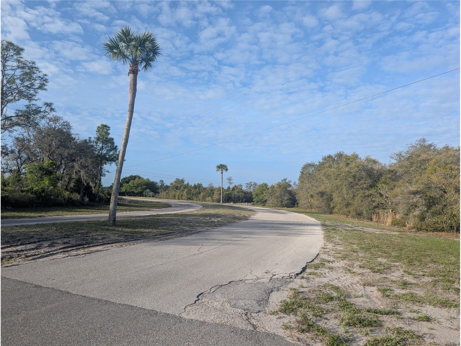 1 Allamanda Drive Indian Lake Estates FL 33855 - LAKE WALK-IN-WATER P4938261 image3