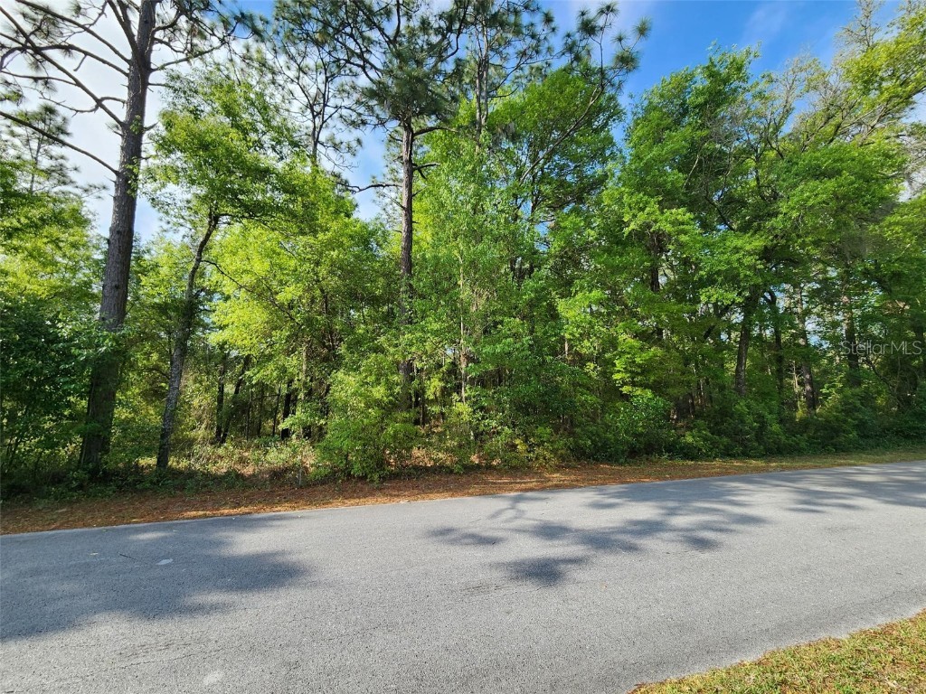 1 Anchor Boulevard #18 Dunnellon FL 34431 OM698879 image1