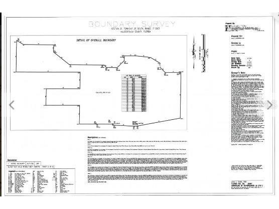 1 Armand Drive Tampa FL 33634 O6248575 image10