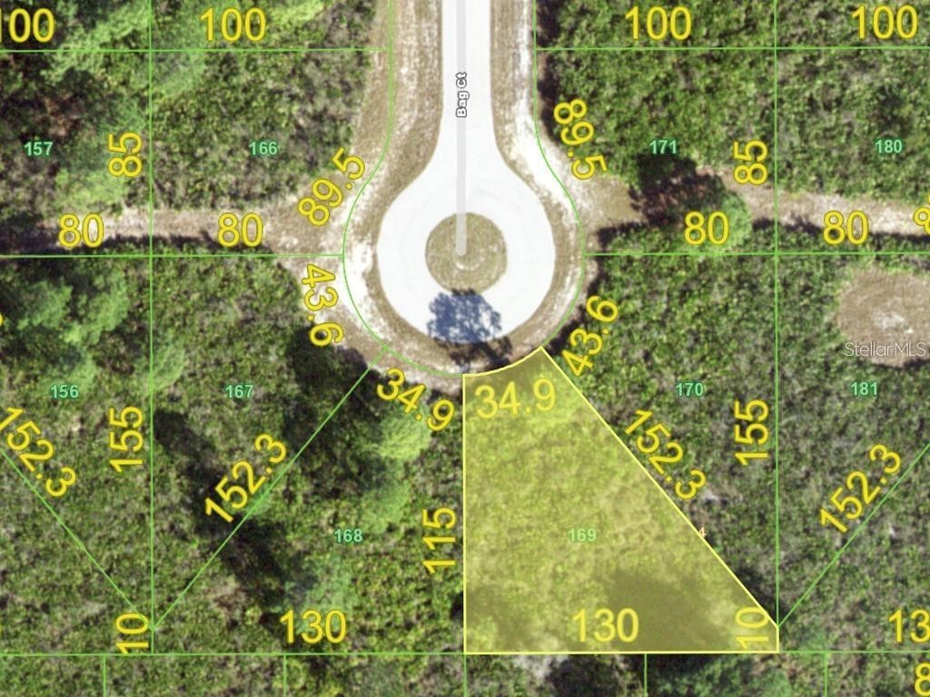 1 Bag (Lot 169) Court Placida FL 33946 D6139871 image1