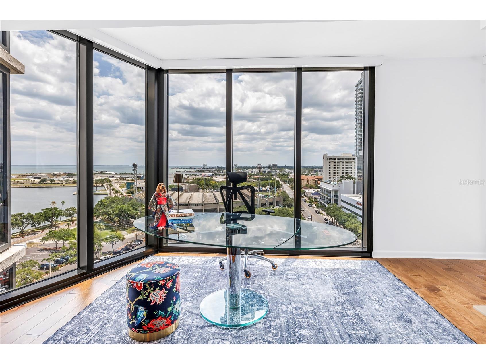 1 Beach Drive SE #1207 Saint Petersburg FL 33701 TB8501895 image18