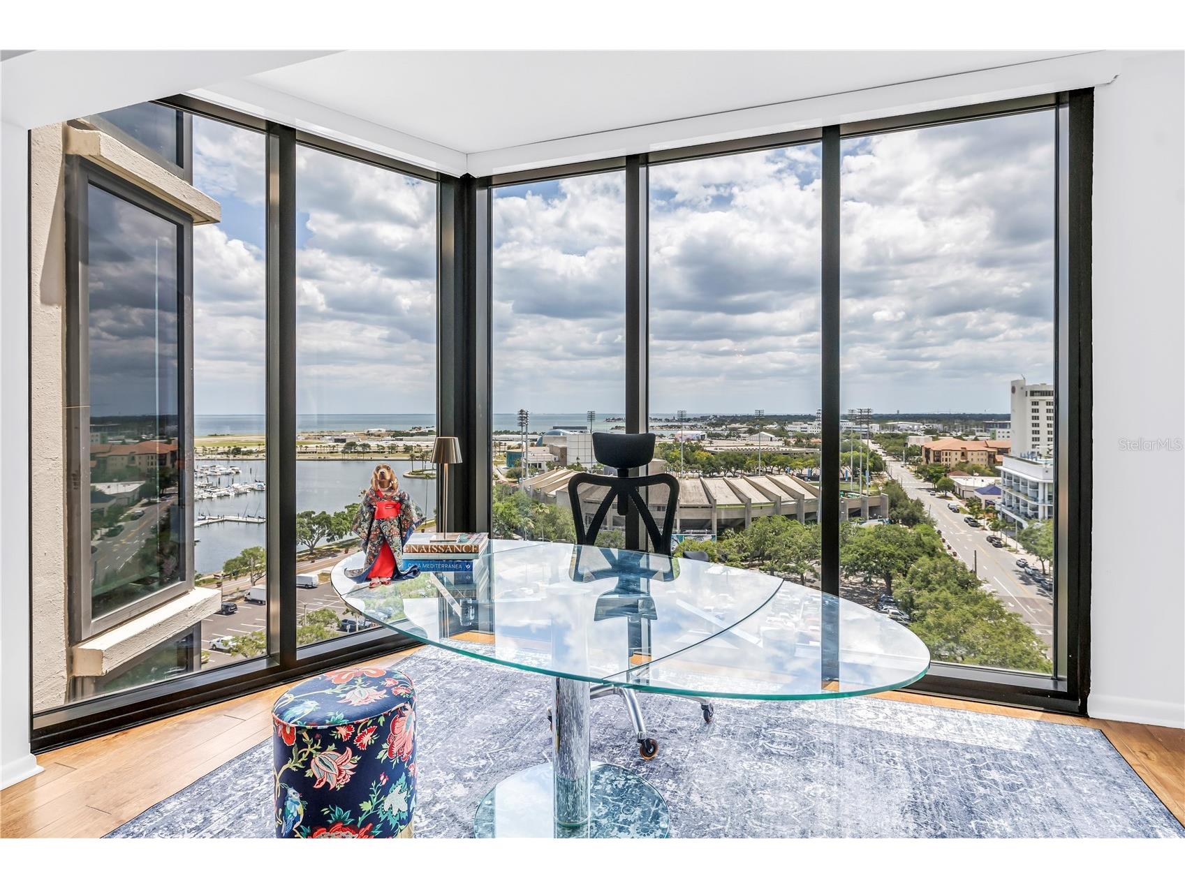 1 Beach Drive SE #1207 Saint Petersburg FL 33701 TB8501895 image22