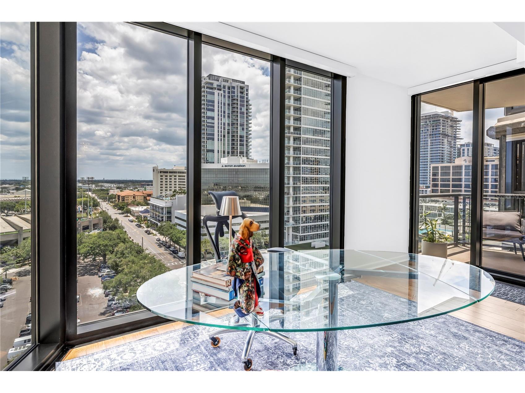 1 Beach Drive SE #1207 Saint Petersburg FL 33701 TB8501895 image23