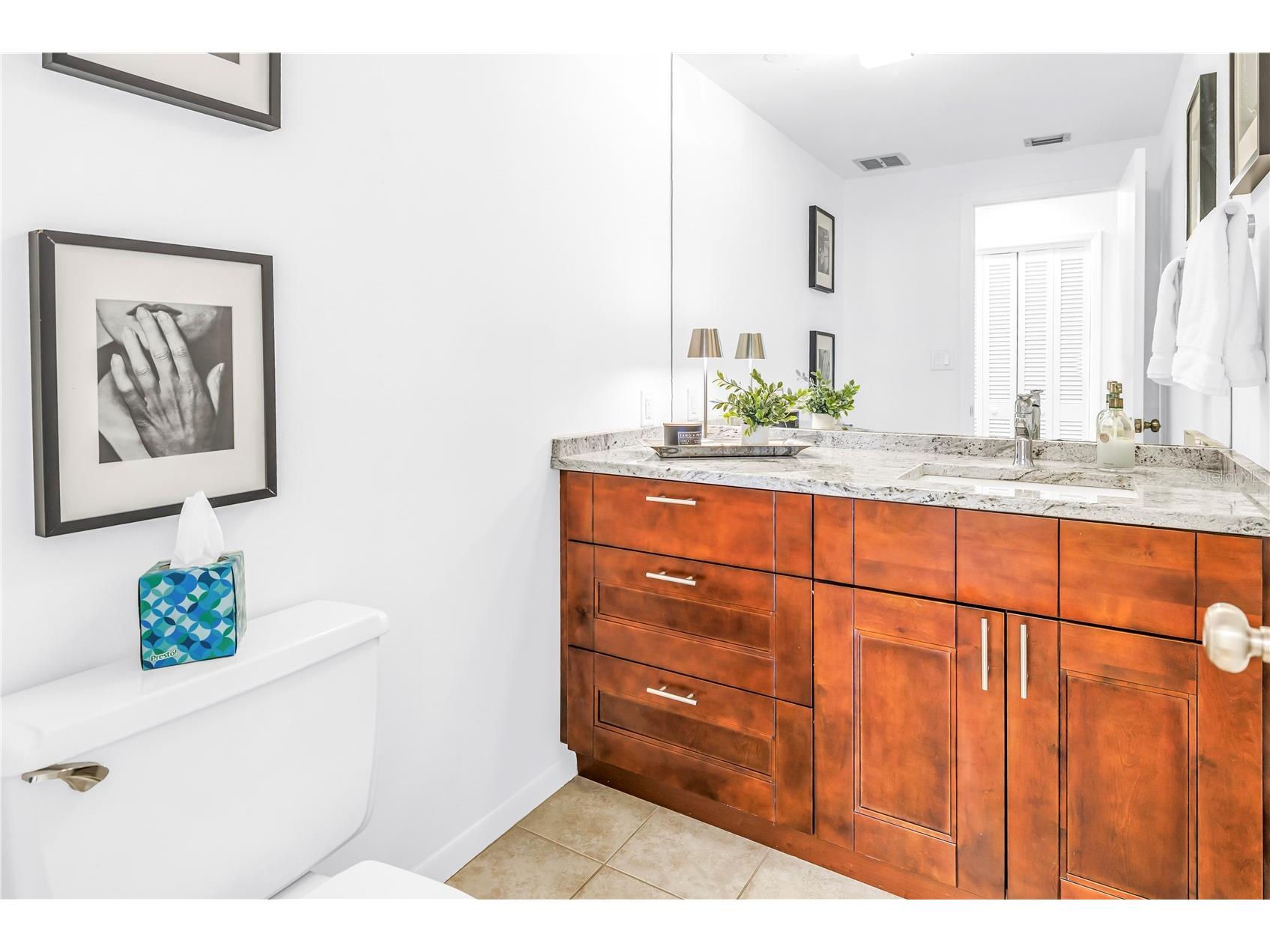 1 Beach Drive SE #1207 Saint Petersburg FL 33701 TB8501895 image28