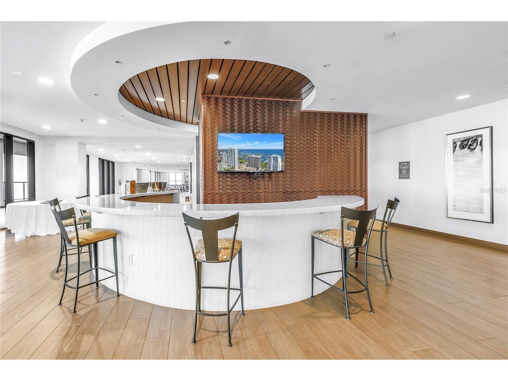 1 Beach Drive SE #1207 Saint Petersburg FL 33701 TB8501895 image37