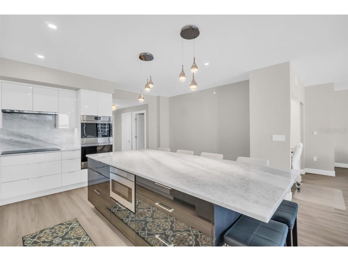 1 Beach Drive SE #1210 Saint Petersburg FL 33701 TB8446980 image5