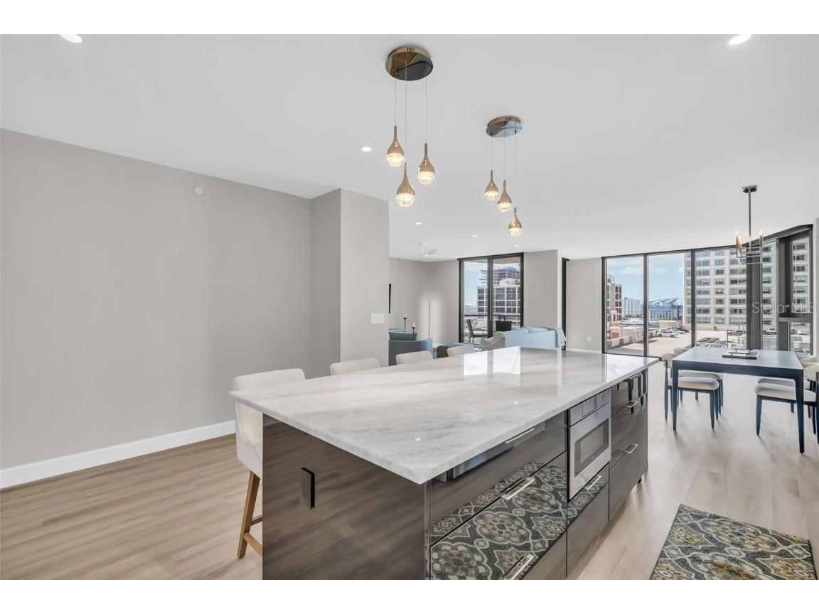 1 Beach Drive SE #1210 Saint Petersburg FL 33701 TB8446980 image7