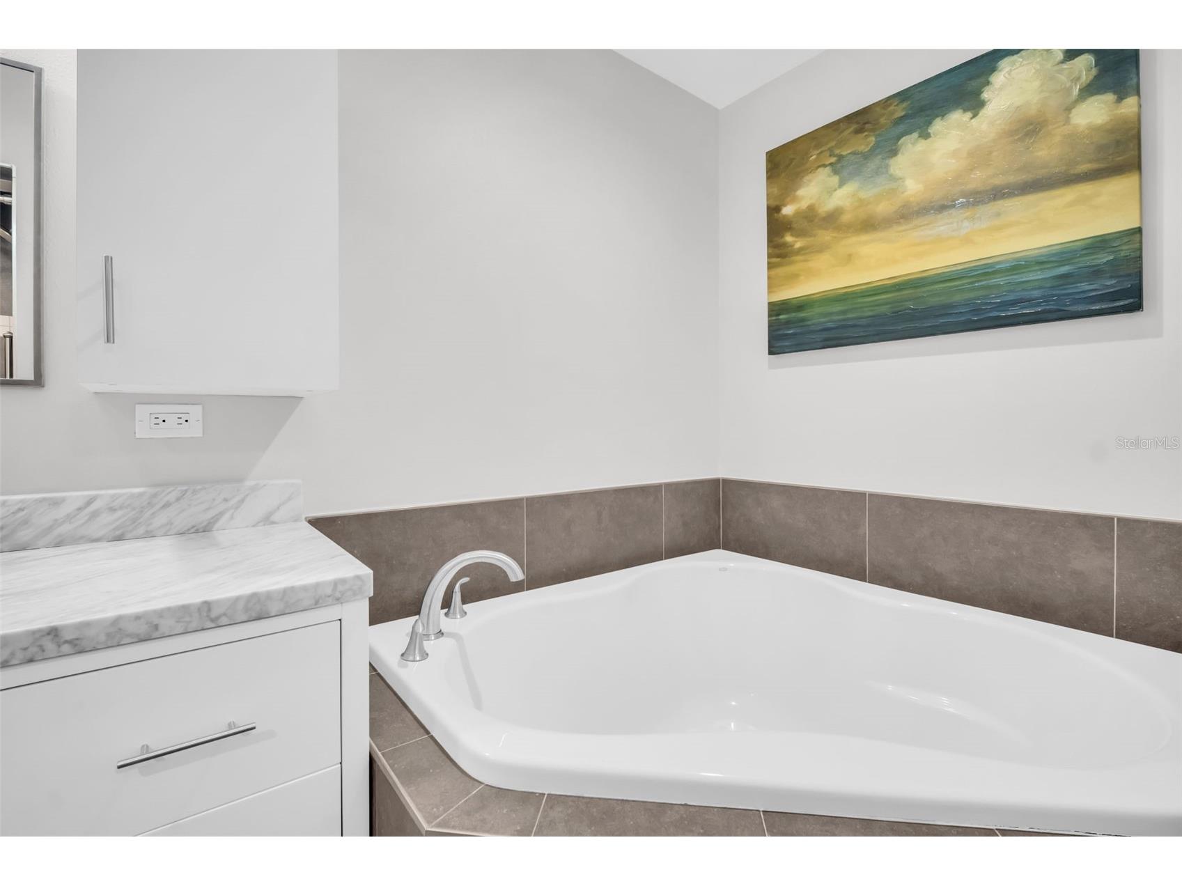 1 Beach Drive SE #1910 Saint Petersburg FL 33701 TB8465639 image28