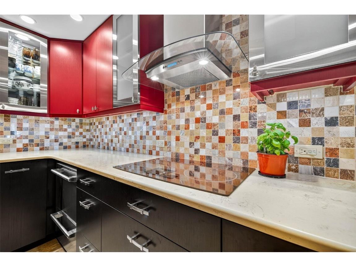 1 Beach Drive SE #2006 Saint Petersburg FL 33701 TB8442627 image10