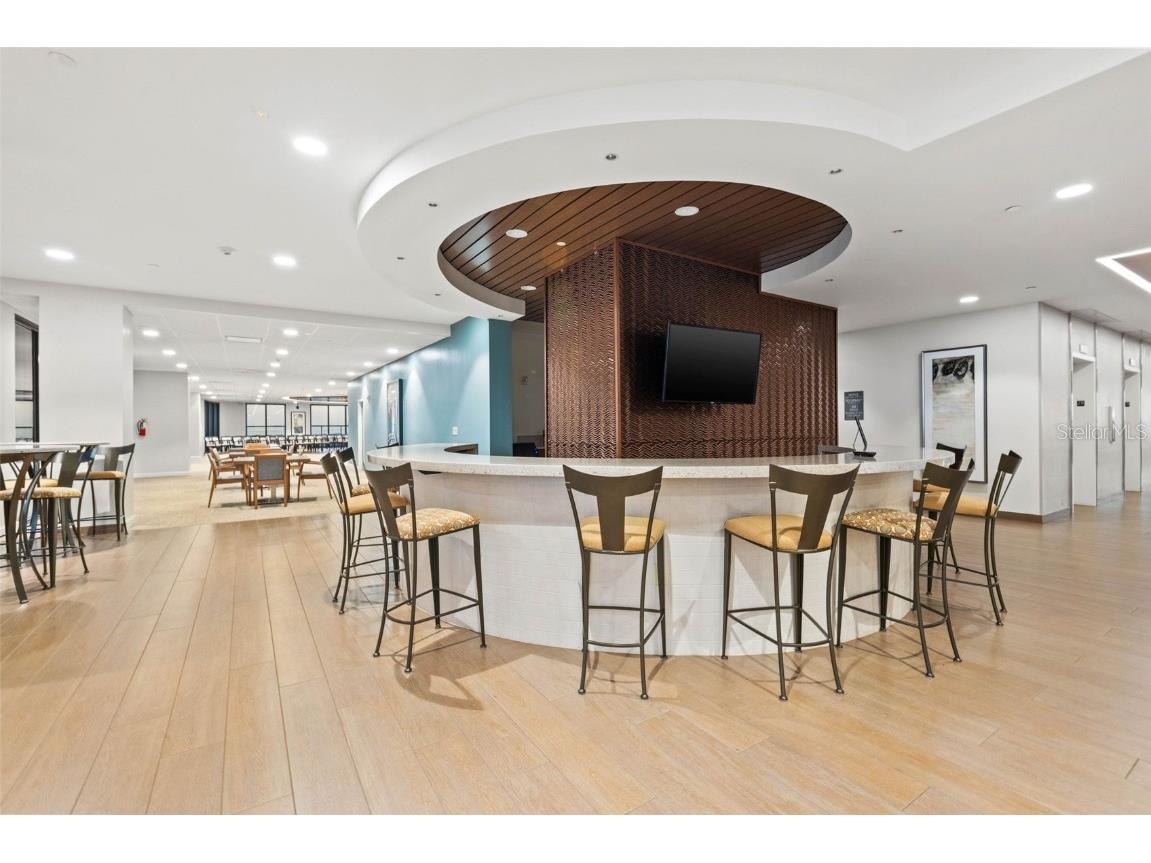 1 Beach Drive SE #2006 Saint Petersburg FL 33701 TB8442627 image48