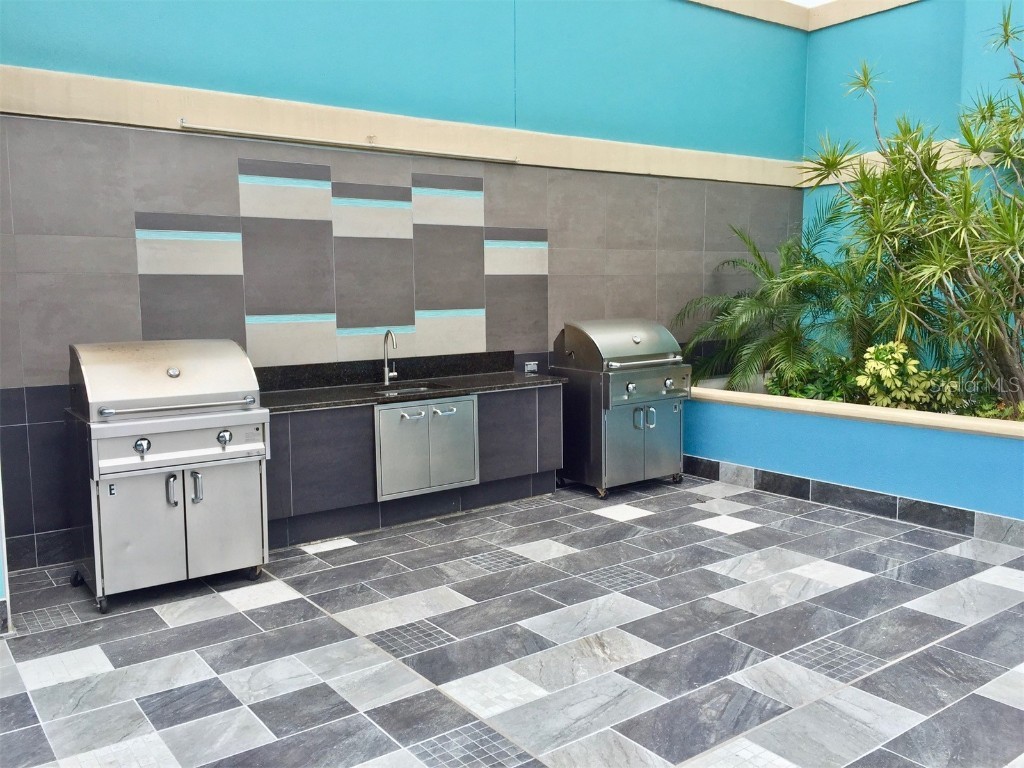 1 Beach Drive SE #2007 Saint Petersburg FL 33701 - TAMPA BAY TB8315555 image32