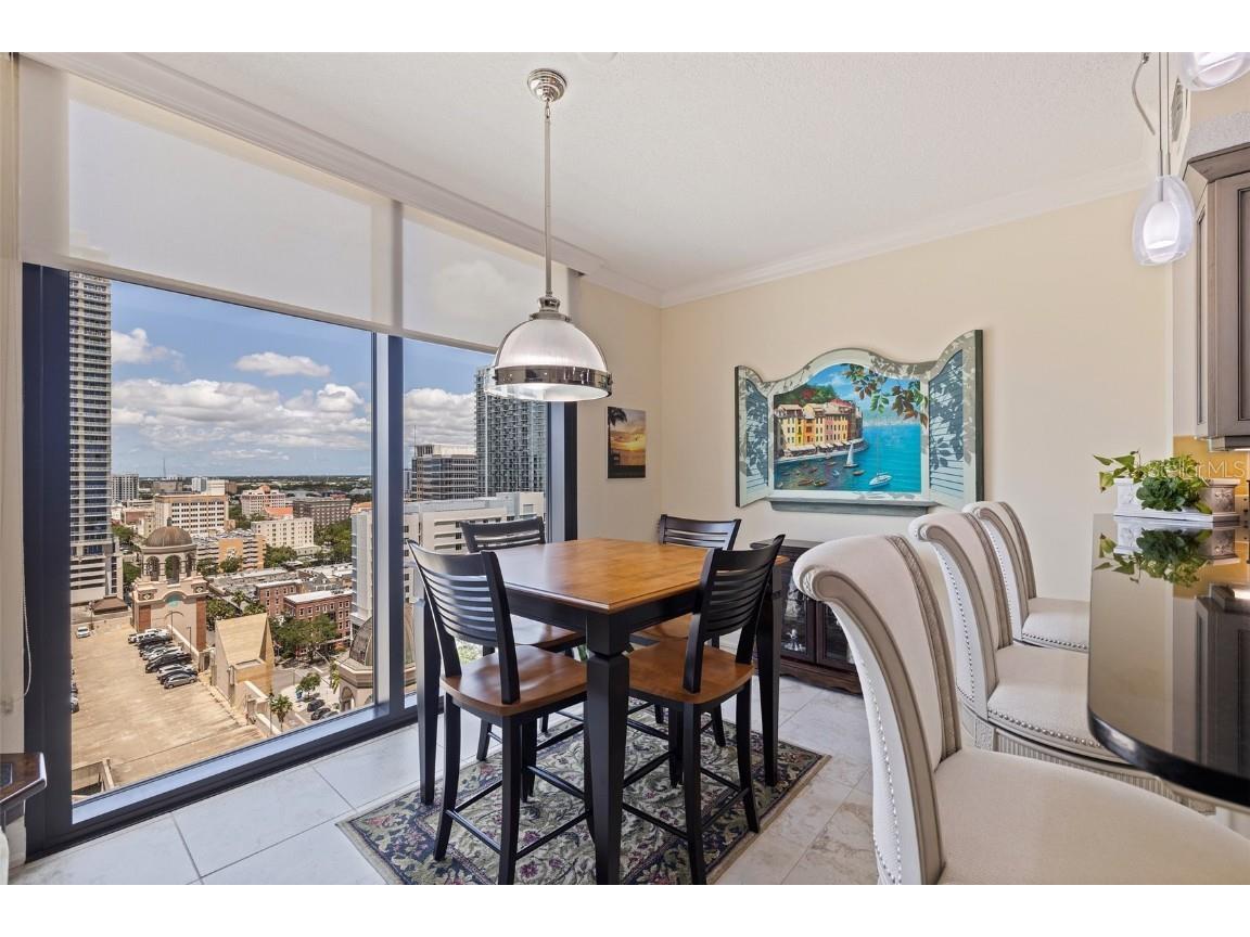 1 Beach Drive SE #2011 Saint Petersburg FL 33701 TB8393181 image15