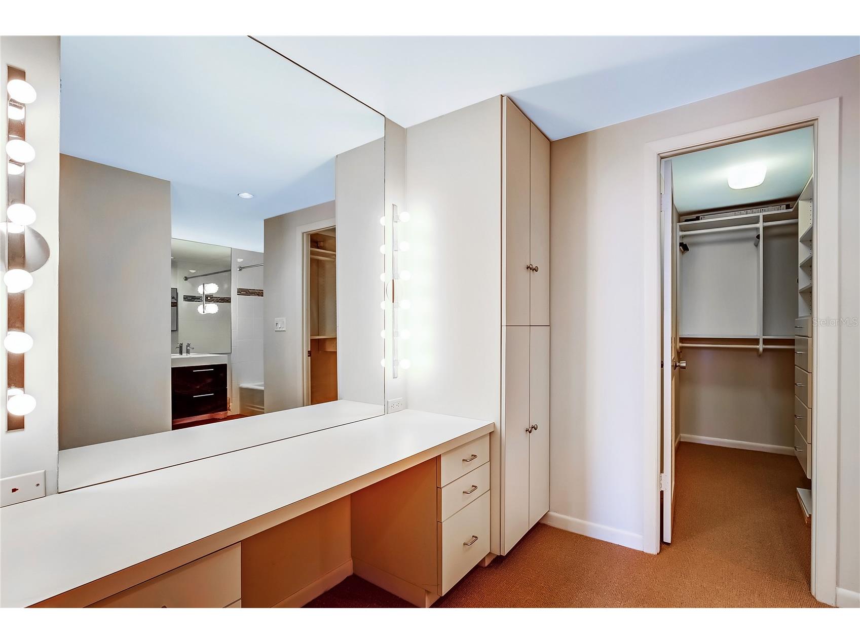 1 Beach Drive SE #2109 Saint Petersburg FL 33701 TB8505741 image12
