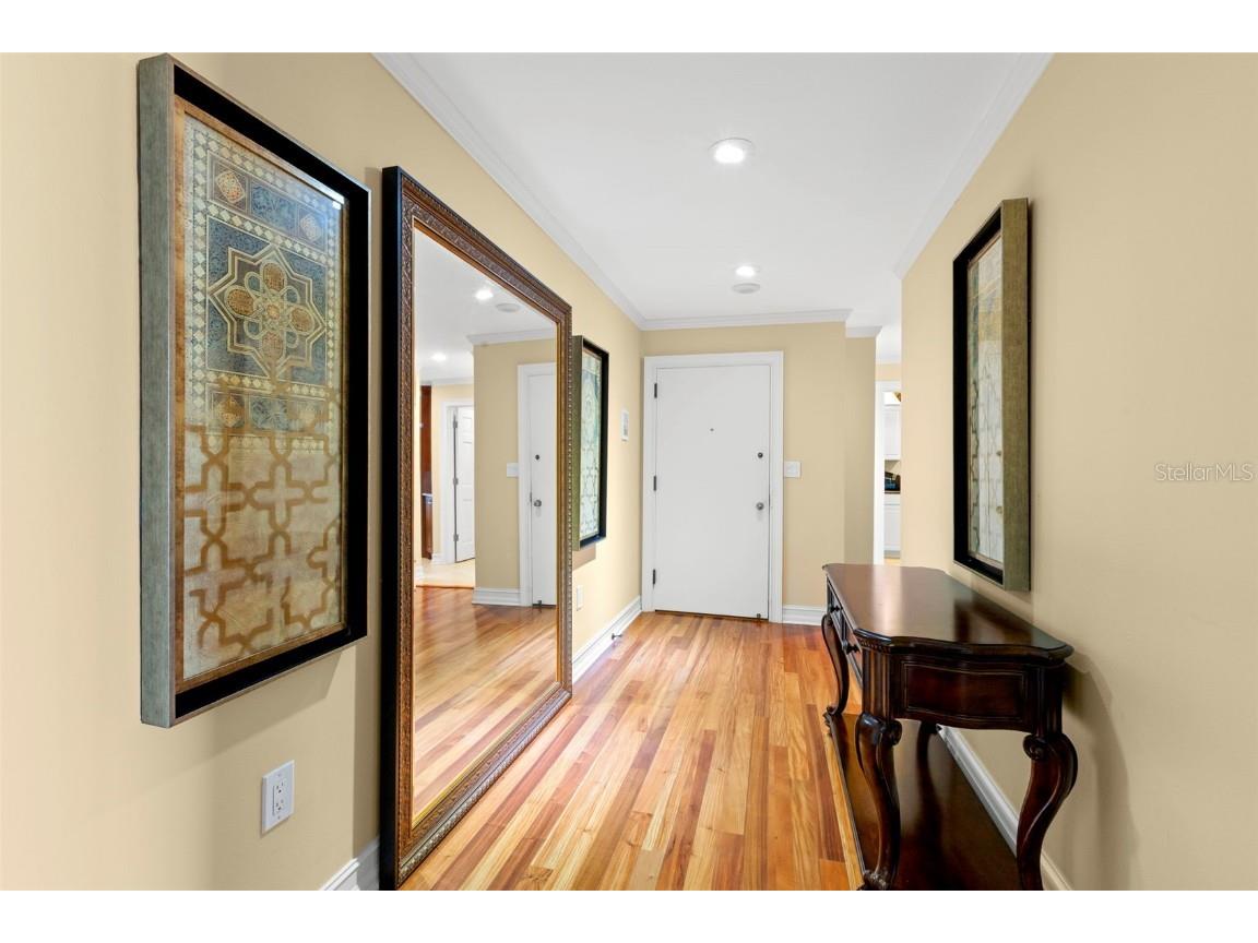 1 Beach Drive SE #2206 Saint Petersburg FL 33701 TB8429717 image39