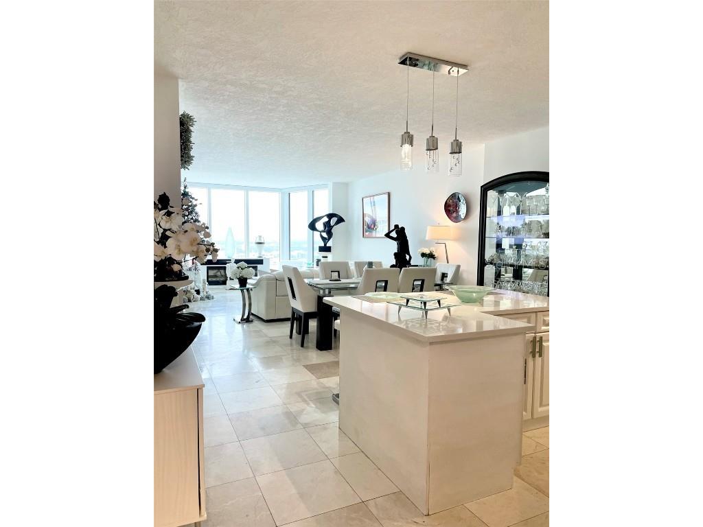 1 Beach Drive SE #2312 Saint Petersburg FL 33701 TB8355178 image6