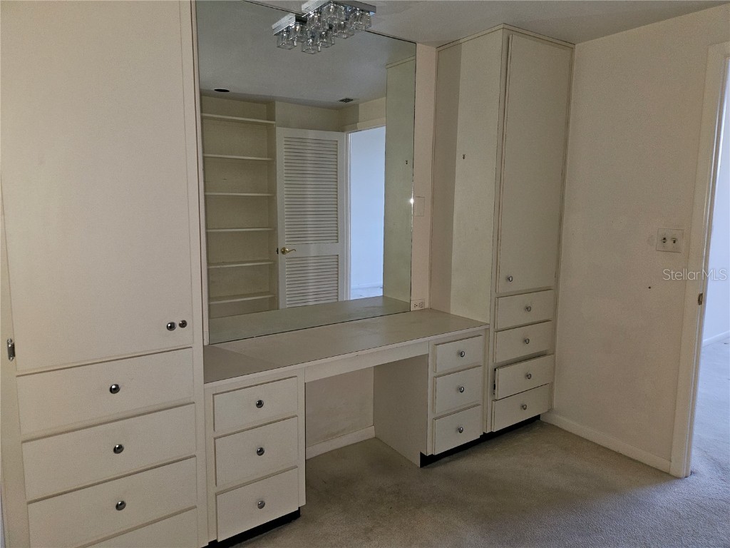 1 Beach Drive SE #911 Saint Petersburg FL 33701 TB8416912 image17