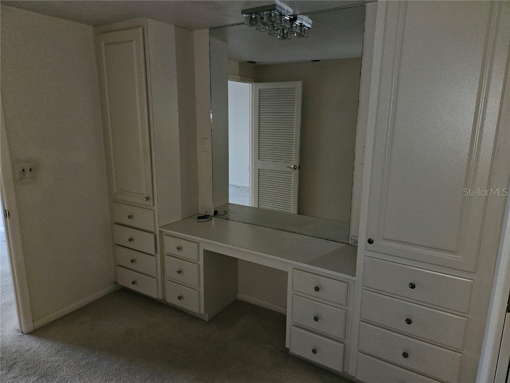 1 Beach Drive SE #911 Saint Petersburg FL 33701 TB8416912 image22