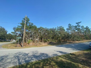 1 Black Willow Court N Homosassa FL 34446 T3418570 image1