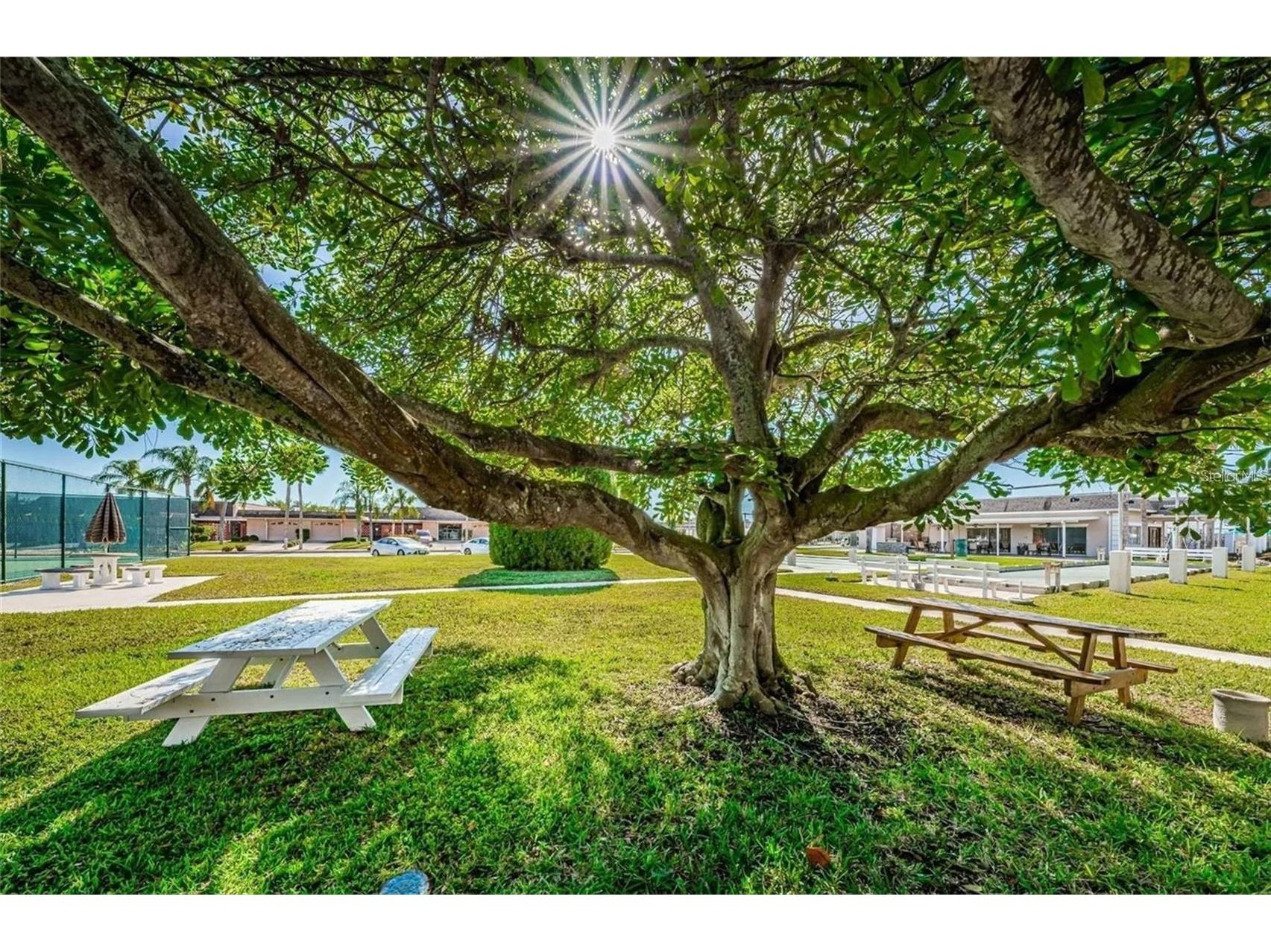 1 Boca Ciega Point Boulevard #314 Saint Petersburg FL 33708 - INTRACOASTAL TO BOCA CIEGA BAY TB8479478 image46