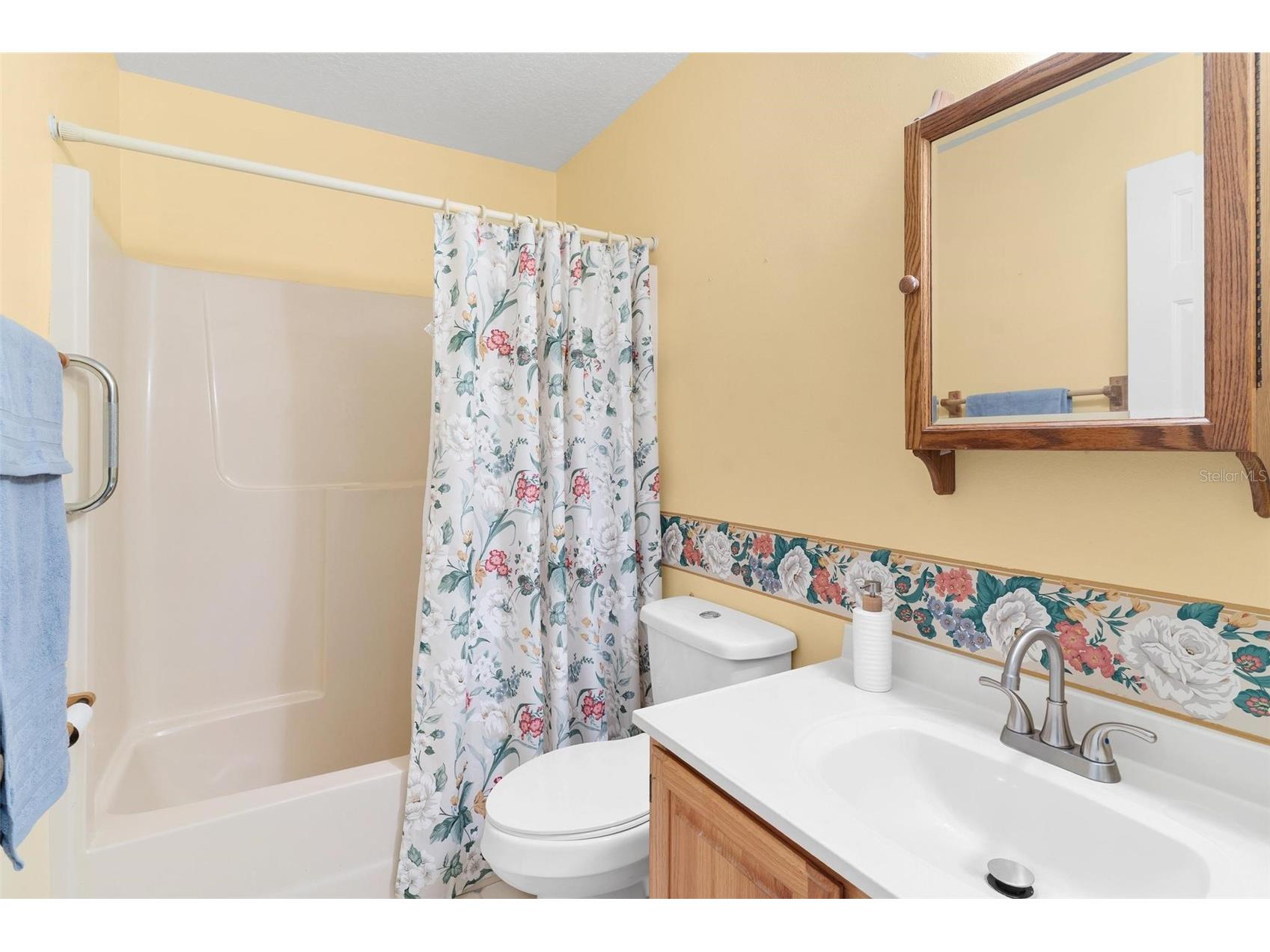 1 Bonaire Place Umatilla FL 32784 - Lake Mary G5112063 image25