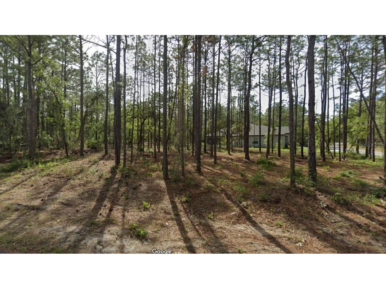 1 Boxleaf Court Homosassa FL 34446 W7861843 image1
