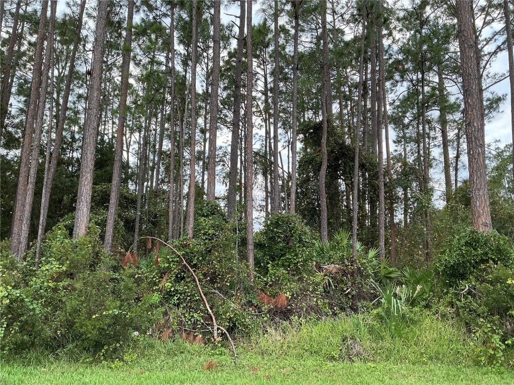 1 Brian Lane Palm Coast FL 32137 OM692189 image1