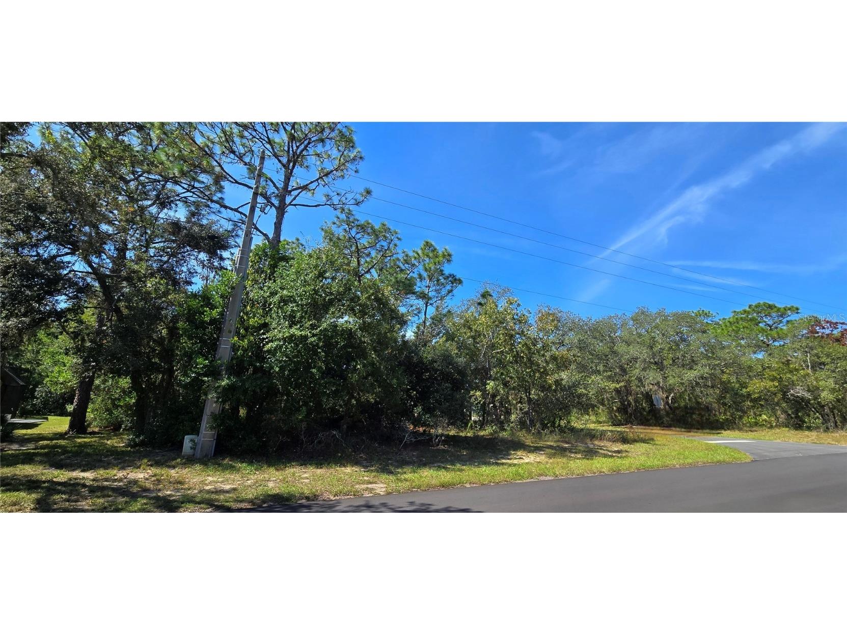 1 Buckeye Court Homosassa FL 34446 W7880845 image3