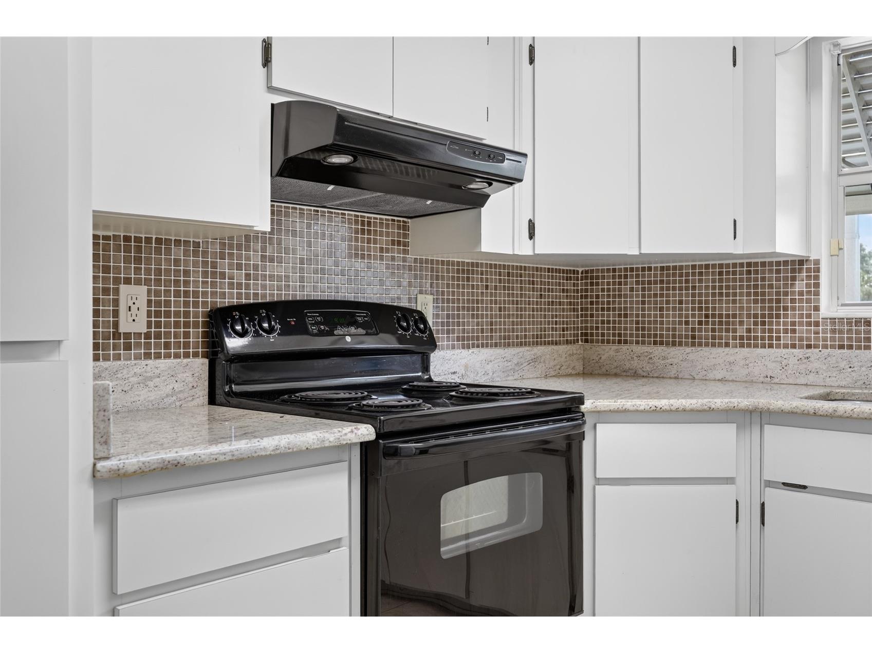 1 Durness Court Leesburg FL 34788 G5113947 image16