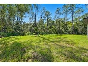 1 Fanshawe Lane #1A Palm Coast FL 32137 O6390409 image36