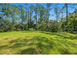 1 Fanshawe Lane #1A Palm Coast FL 32137 O6390409 image38