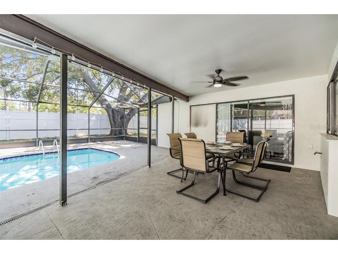 1 Fernery Lane Safety Harbor FL 34695 T3515808 image12