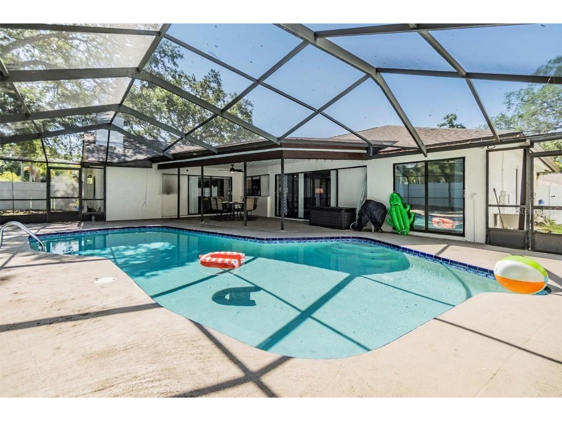 1 Fernery Lane Safety Harbor FL 34695 T3515808 image14