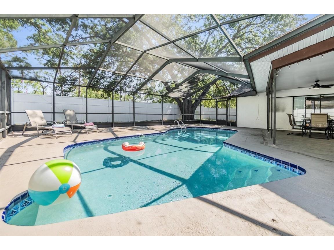 1 Fernery Lane Safety Harbor FL 34695 T3515808 image17