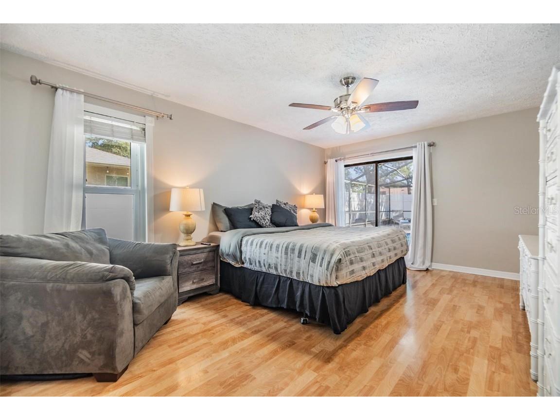 1 Fernery Lane Safety Harbor FL 34695 T3515808 image18