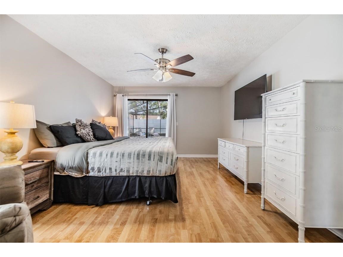 1 Fernery Lane Safety Harbor FL 34695 T3515808 image19